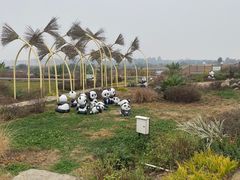 -空港花田景区