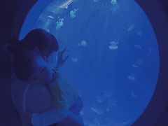 -多彩贵州城极地海洋世界