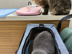 -艾贝尔动物医学中心·血液净化·神经内外科