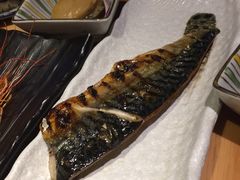 -割烹旭日本料理(龙湖狮山天街店)
