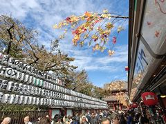 -浅草寺