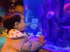 -沈阳海洋探索中心