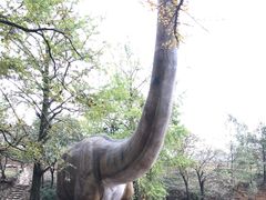 -千年银杏谷文化旅游区