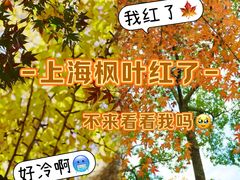 -秋霞圃