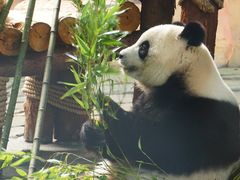 -泉州海丝野生动物世界