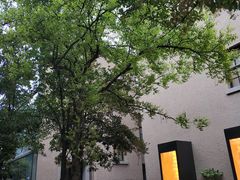 -徐家汇源景区-衡山坊