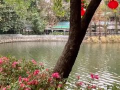 -荔湾湖公园