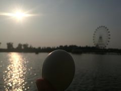 景点-白洋淀景区