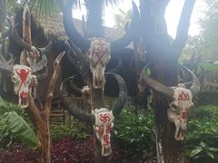 -云南民族村