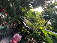 -呀诺达热带雨林