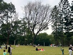 -人民公园(罗湖区)