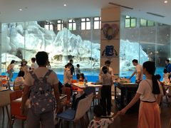 大堂-帝企鹅自助餐厅•儿童岛•真企鹅(长隆企鹅酒店)