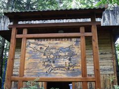 -五营红松林海景区