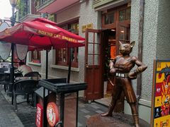 -Boxing Cat Brewery拳击猫精酿啤酒馆(思南公馆店)
