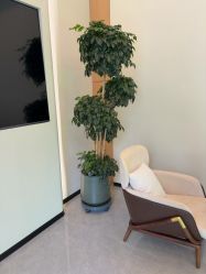 点击看大图 -卡尔诗·科技美肤连锁