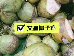 -文昌椰子鸡(沙井万丰店)