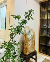 -弗蕾亚·和月月子调理院(东湖店)