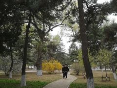 -东北大学(南湖校区)