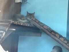 -青藏高原野生动物园