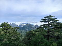 -黄山风景区