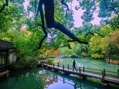 -惠山古镇·寄畅园