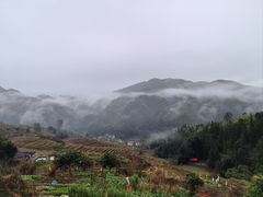 -南靖田螺坑土楼群景区