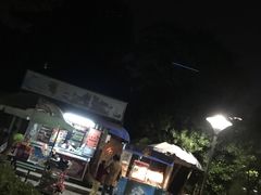 -泰州凤城河风景区-泰山公园