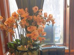 -八府香鸭·啫啫煲(华山路店)