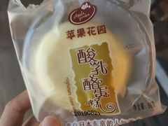 -苹果花园(桂林路店)
