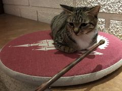 -逃脱反斗城沉浸剧情密室(北京路店)