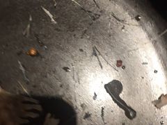 -十三式重庆江湖菜(金茂览秀城店)
