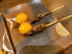 -鸟鹏烧鸟居酒屋(龙岗万科店)