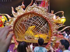 -广州长隆国际大马戏