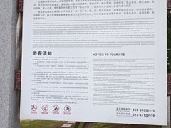 -铁山坪森林公园