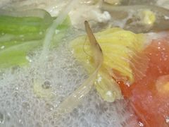 -海关荤豆花(洋河一路店)