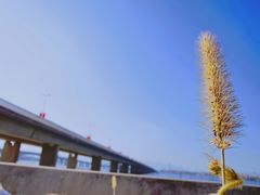 -海堤纪念公园