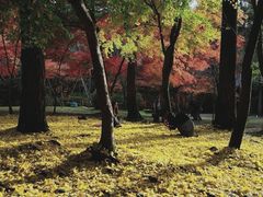-醍醐寺