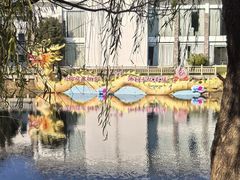 -溱湖国家湿地公园