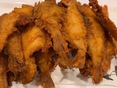 -七菜馆·东北菜·蒸饺(文体路店)