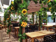 -Paulaner·德国帕拉娜自酿啤酒餐厅(海上世界店)