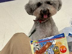 -帕帕拉兹宠物(亚洲旗舰店)