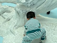 -中国湿地博物馆