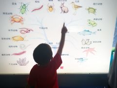 -上海昆虫博物馆