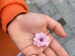 -白塘生态植物园