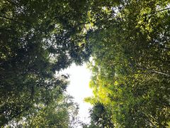 -泰山风景名胜区-普照寺