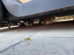 -天津妈祖文化园