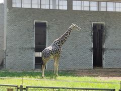 -石家庄市动物园