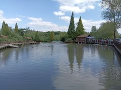 -溱湖国家湿地公园