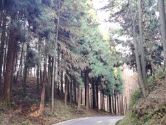 -山王坪喀斯特国家生态公园