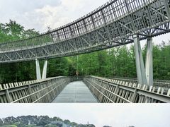 -福道